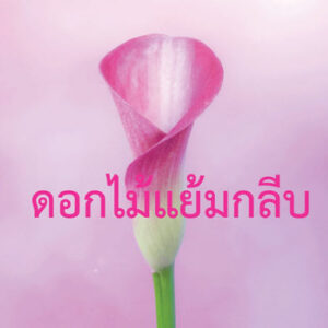รวมเรื่องสั้นหญิงรักหญิง